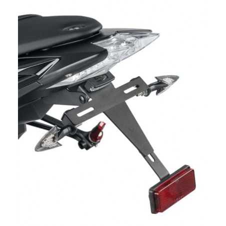 Plate support license holder