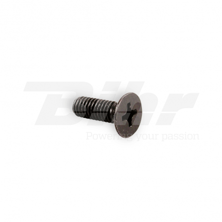 NISSIN Tornillo tapa bomba 4X12 MCBK36