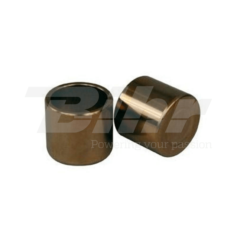 Piston kit for front brake caliper 