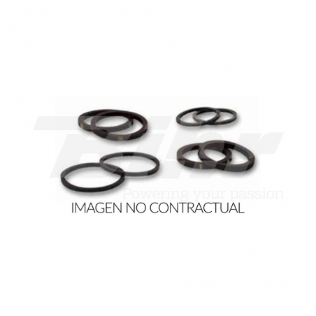 Kit piston seals for rear brake caliper 