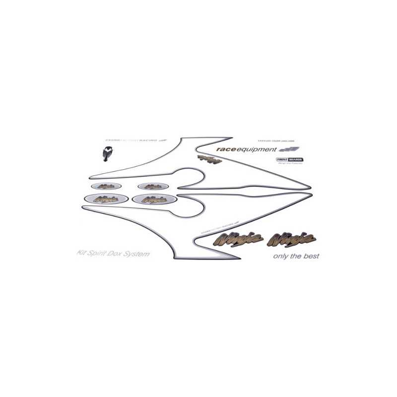 Kit of protective adhesive stickers spirit for front