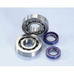 KIT, REVISION BEARINGS AND DETENTS CRANKSHAFT POLINI