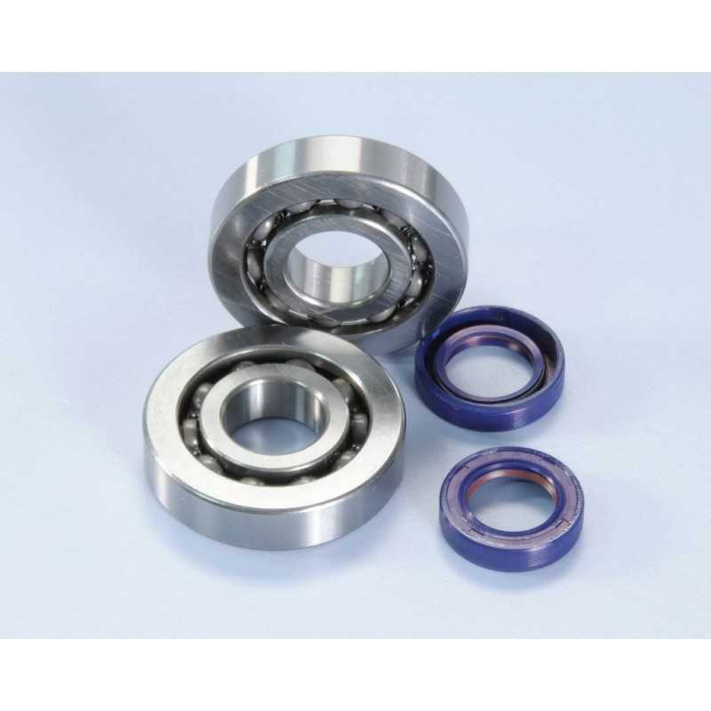 KIT, REVISION BEARINGS AND DETENTS CRANKSHAFT POLINI