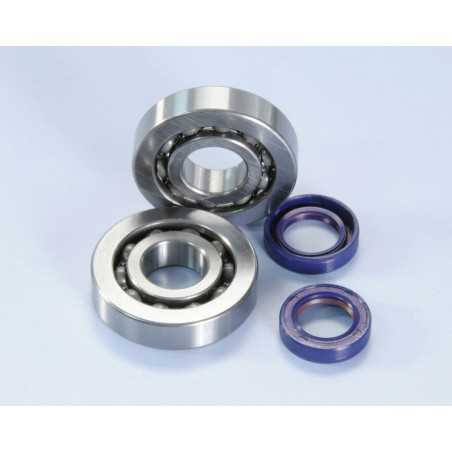 KIT, REVISION BEARINGS AND DETENTS CRANKSHAFT POLINI