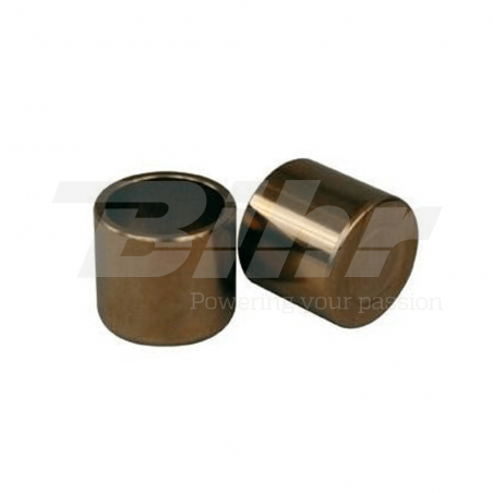 NISSIN Kit pistones para pinza de freno trasera RP007