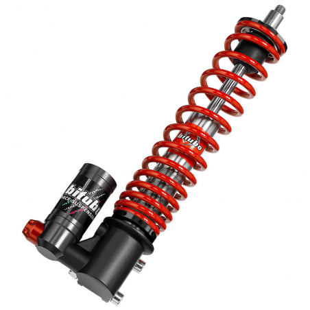 BITUBO Amortiguador delantero gas botella PV021YEV01 60617