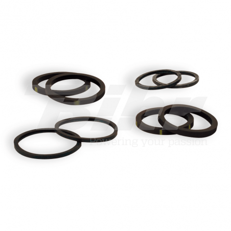 Brake caliper seals kit  N1P 21