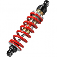 BITUBO Amortiguador gas BW008CZE01 60579
