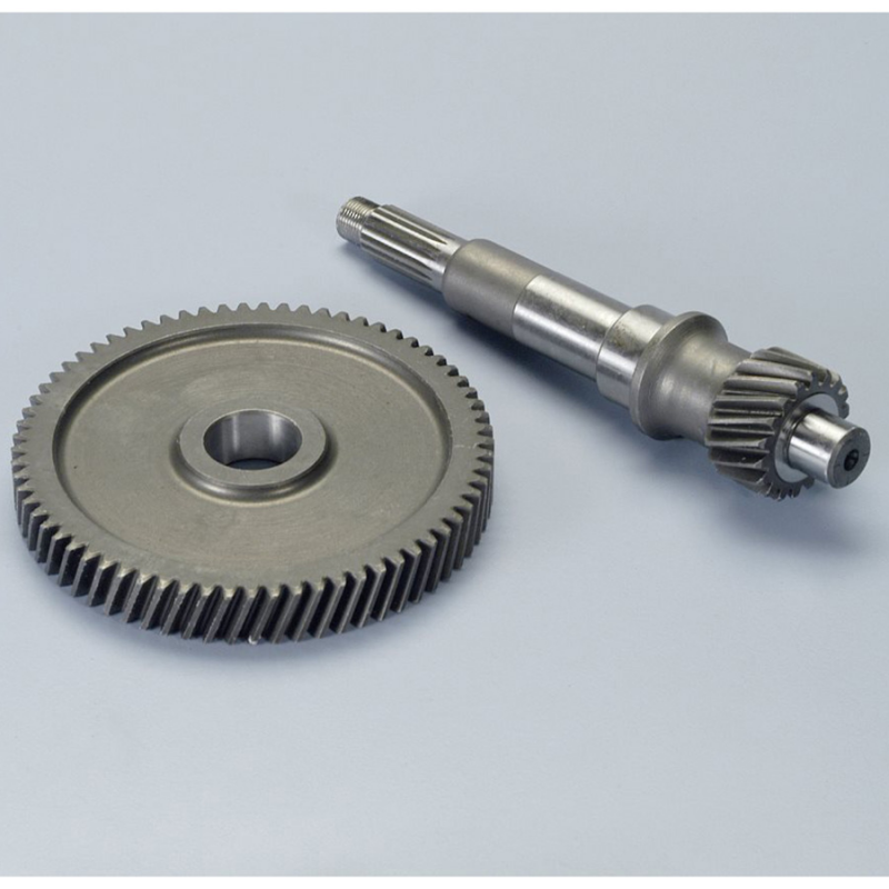 Primary gear (2021377)