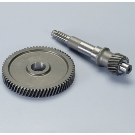 POLINI Engranaje primario (2021377) PLN2021377