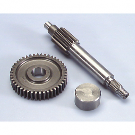 POLINI Desarrollos primarios MINARELLI PLN2021370