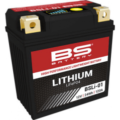 BS BATTERY Lithium BSLI-01 LFP01 30000017