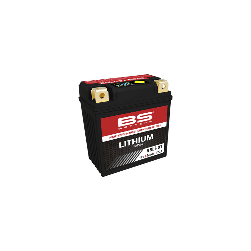 BS BATTERY Lithium BSLI-01 LFP01 30000017