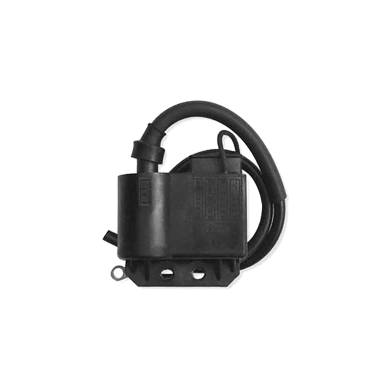 DZE Bobina de encendido para un funcionamiento óptimo del motor 14545
