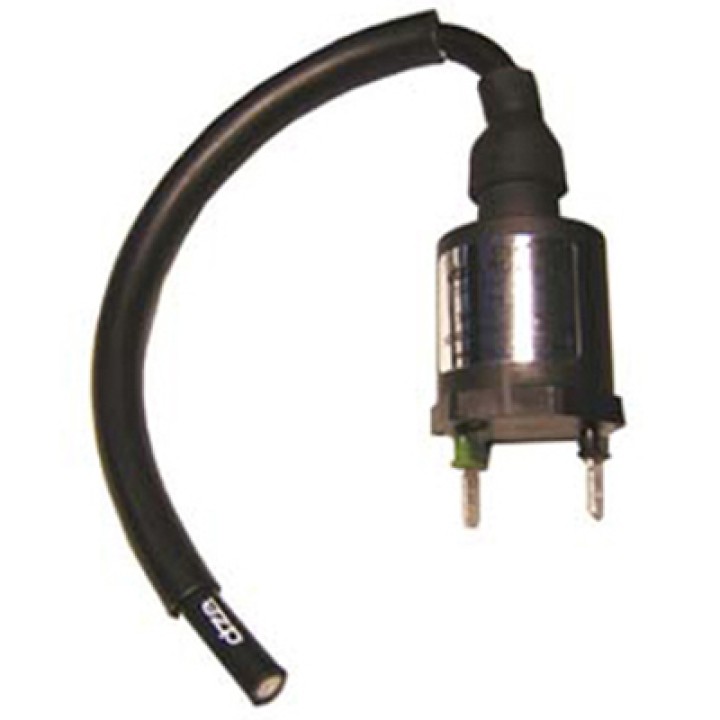 DZE ignition coil for high performance engines 14563