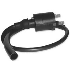 DZE Bobina encendido 14605