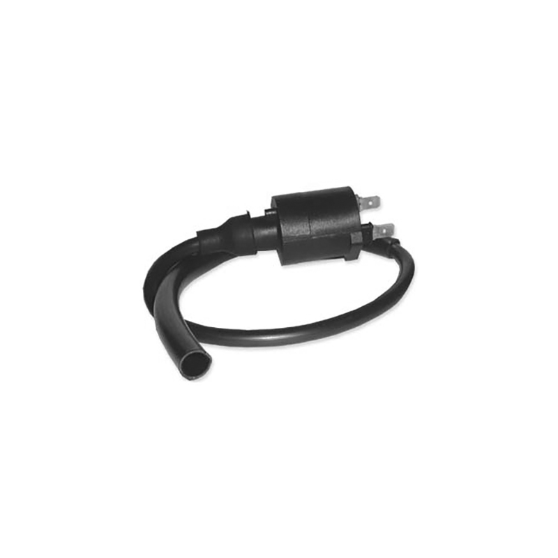 DZE Bobina encendido 14605