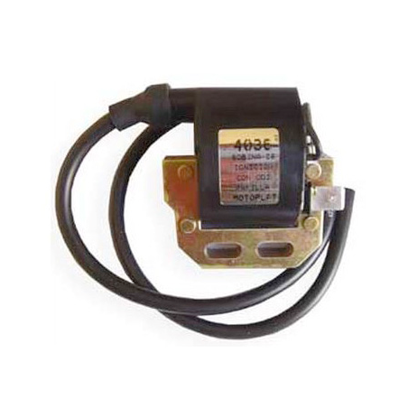 Ignition Coil DZE 4036