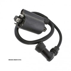 TOURMAX Bobina de ignicion 010250