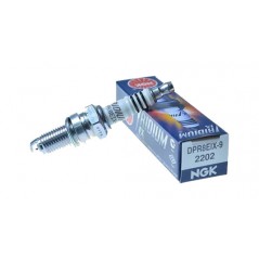 Spark plug DPR8EIX-9