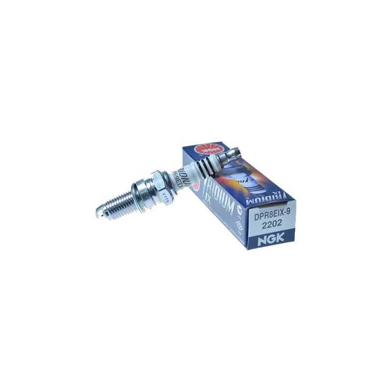 Spark plug DPR8EIX-9