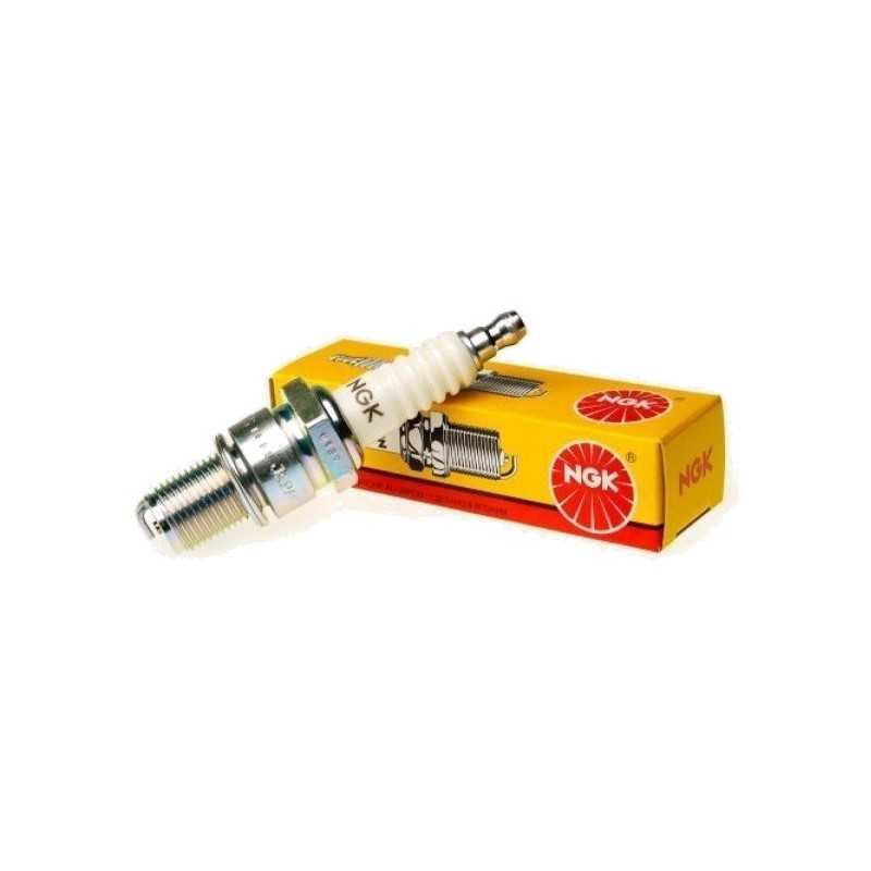 Spark plug with removable terminal BCPR7ET