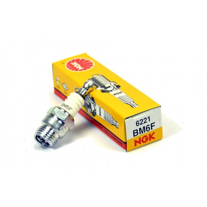 Spark plug BM6F