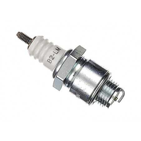 Spark plug with removable terminal B2-LM
