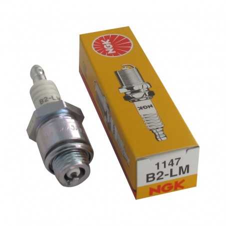 Spark plug with removable terminal B2-LM
