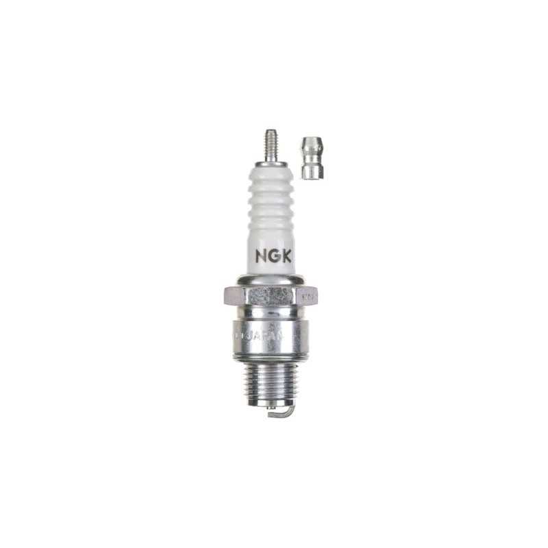 Plug with removable terminal BP6EFS