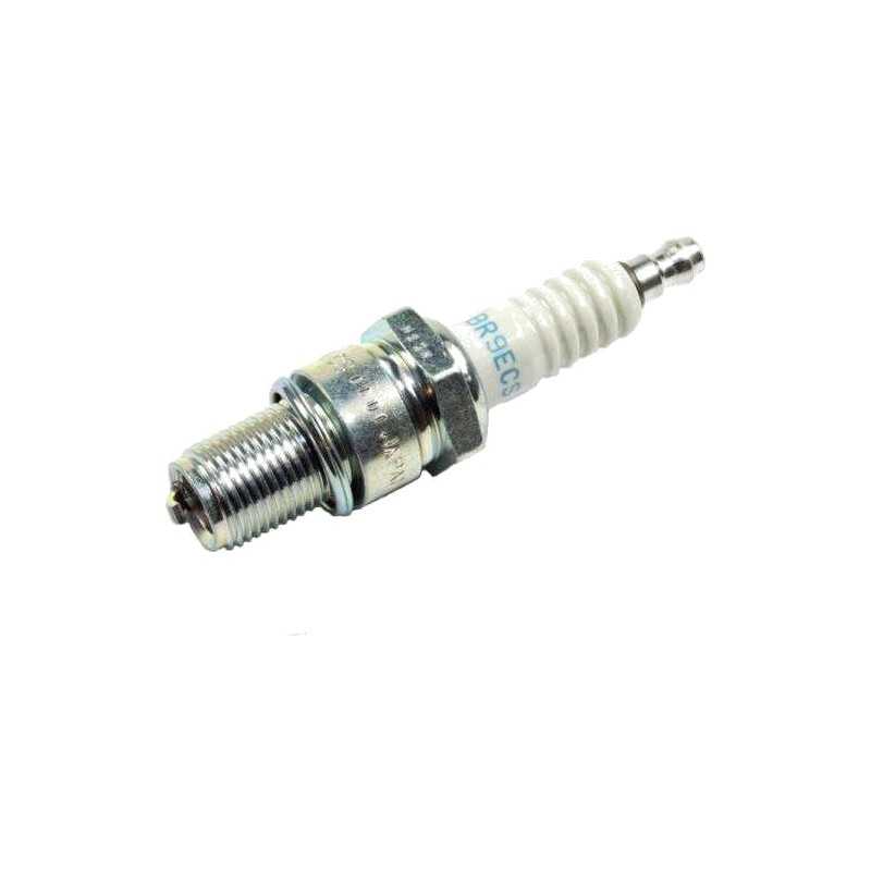 Spark plug with removable terminal BR9ECS
