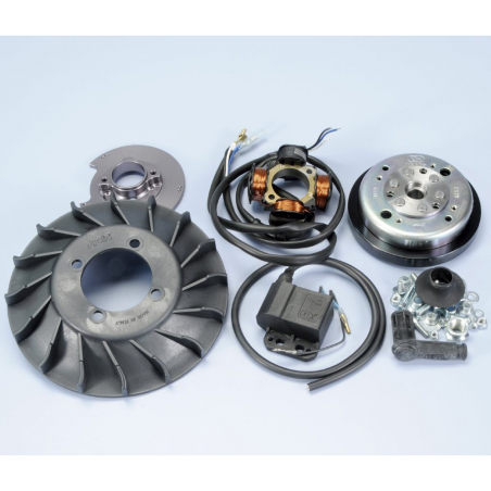 POLINI Encendido PLN1710549