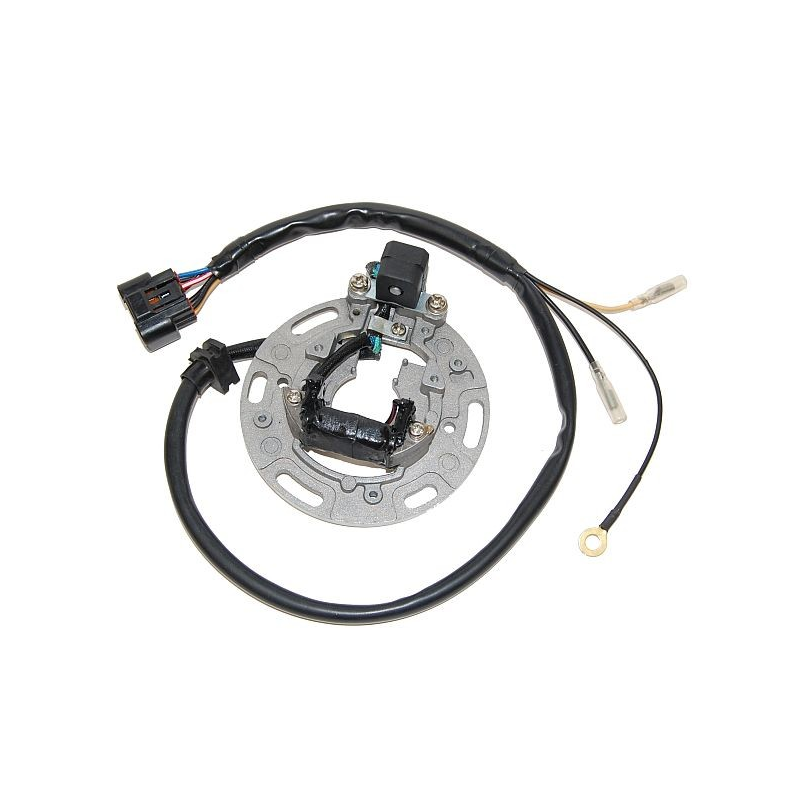 ELECTROSPORT Stator bobina alternador HFA1001 17326