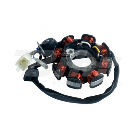 TECNIUM Stator bobina alternador 93110