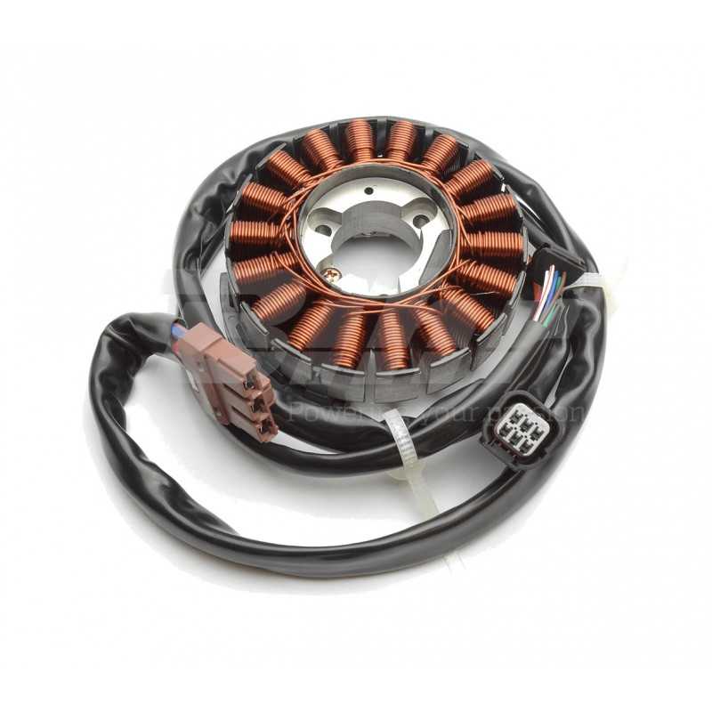 DZE Stator bobina alternador WW125 (10-14) 93076