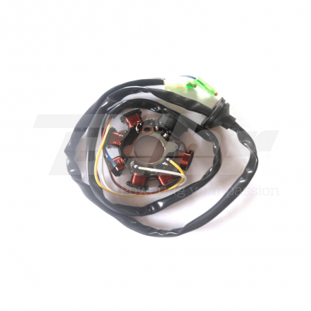 TECNIUM Stator bobina alternador 3VP814030 93108