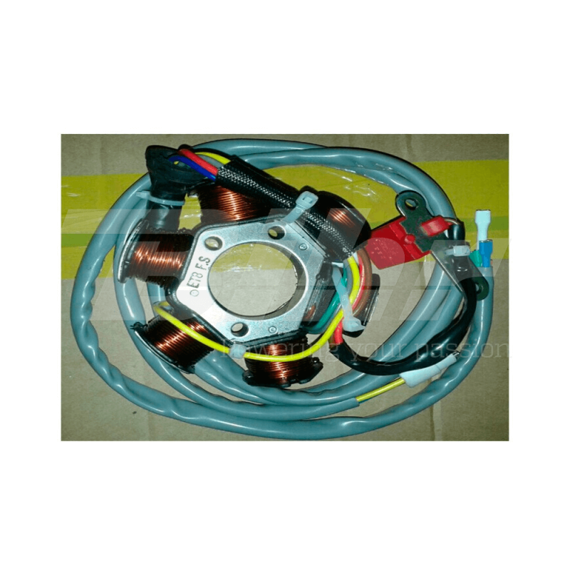 Alternator Stator Coil 294111