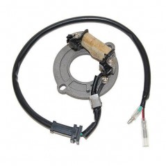 ELECTROSPORT Estator de encendido alternador 011502