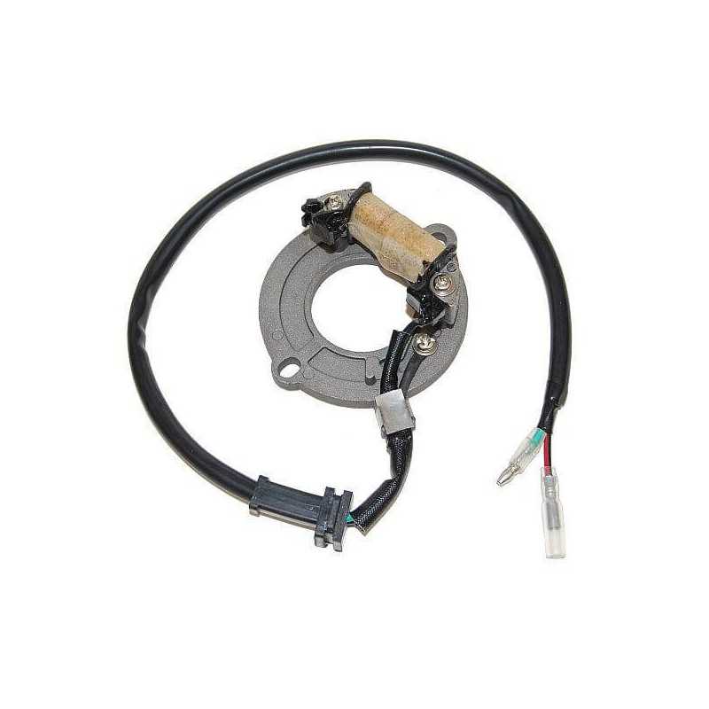 ELECTROSPORT Estator de encendido alternador 011502