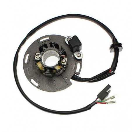 Alternator ignition stator