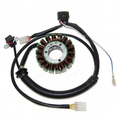ELECTROSPORT Estator de encendido alternador 011602