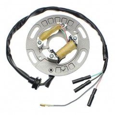 ELECTROSPORT Estator de encendido alternador 012502