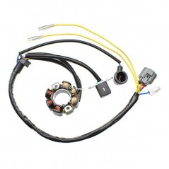 ELECTROSPORT Estator de encendido alternador LIGHTNING COIL 012521