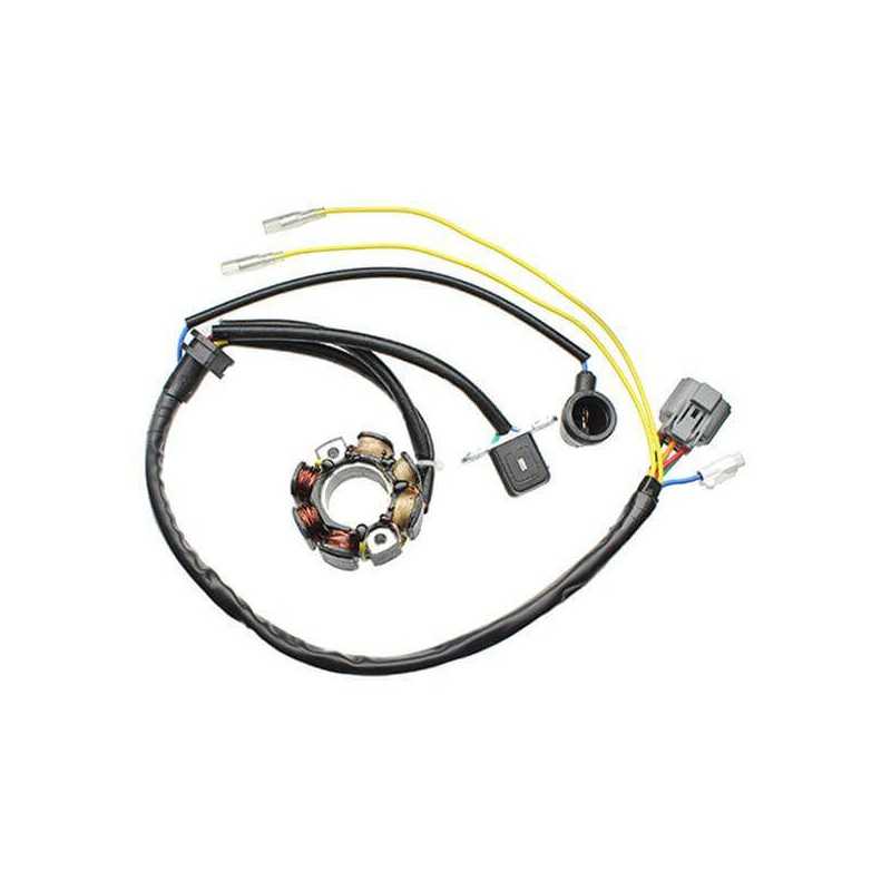 Alternator Ignition Stator LIGHTNING COIL