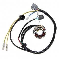 ELECTROSPORT Estator de encendido alternador LIGHTNING COIL 012522