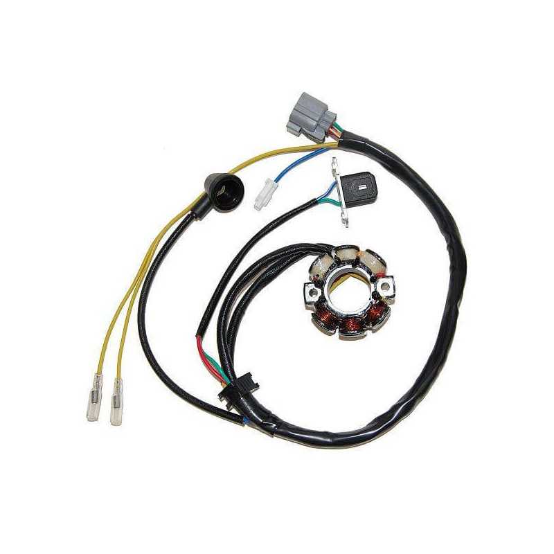Alternator Ignition Stator LIGHTNING COIL