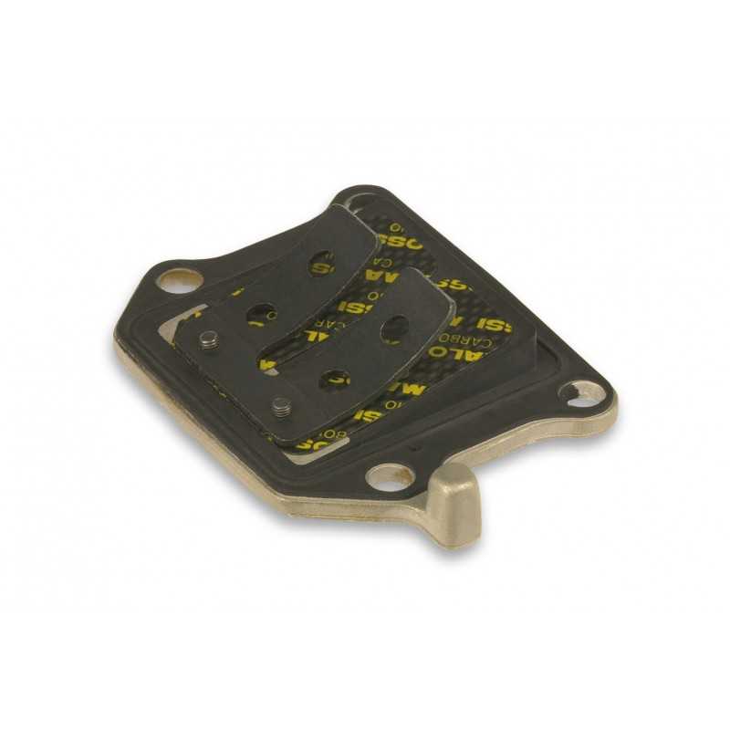 MALOSSI Caja láminas carbono MHR 27 7441.C0 60981