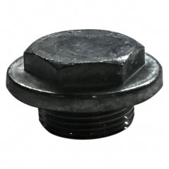 Carburettor bowl screw TM32 A 38