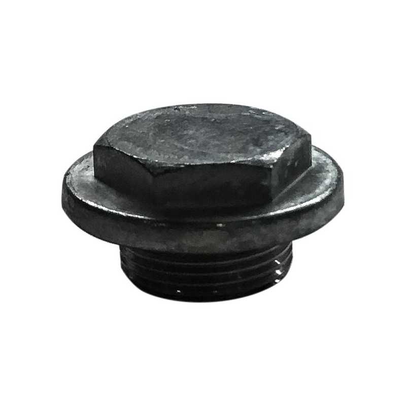 Carburettor bowl screw TM32 A 38