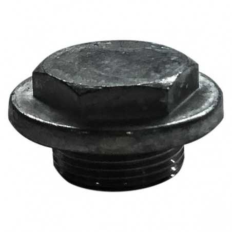 Carburettor bowl screw TM32 A 38